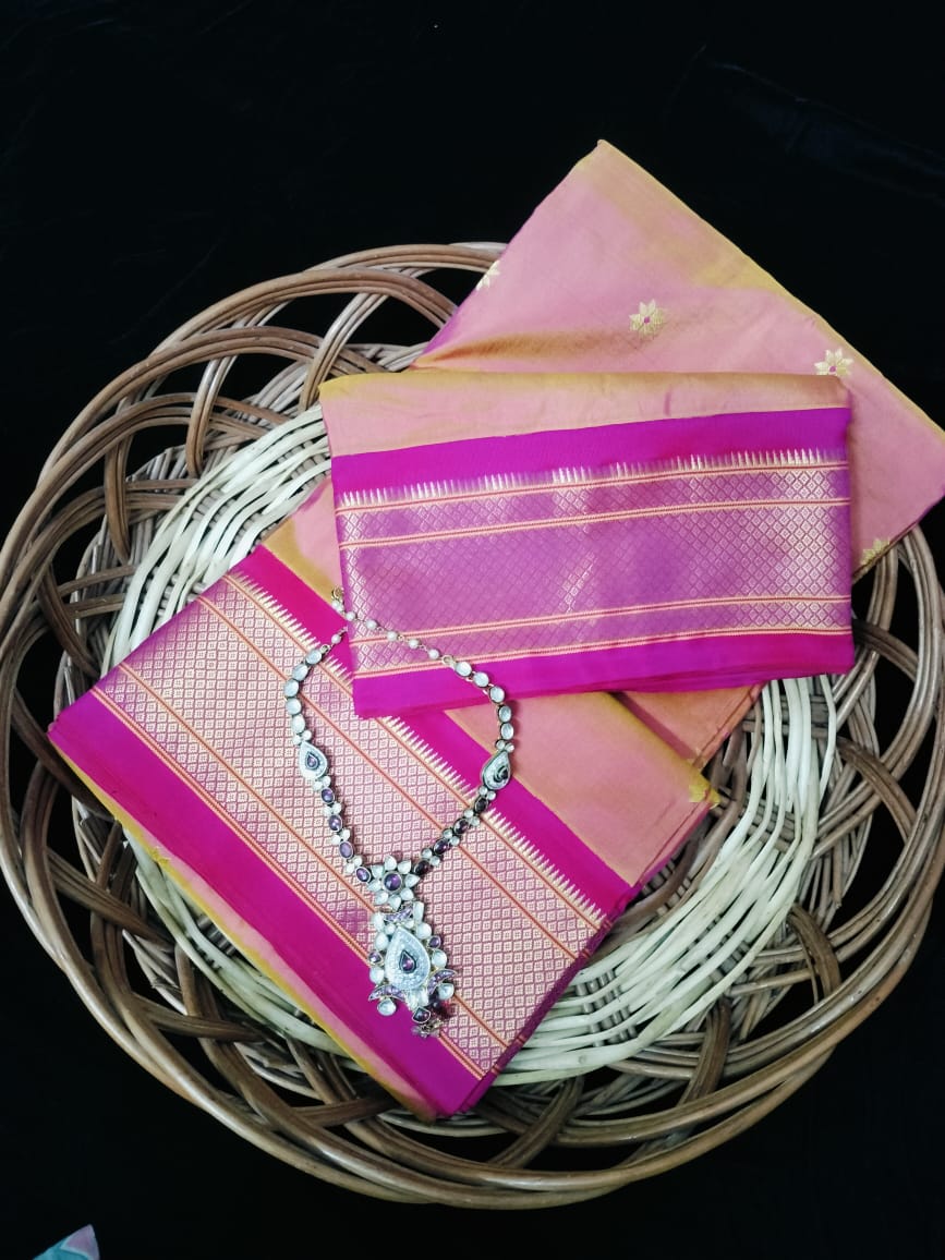 Pure Silk Paithni with silk mark Saree