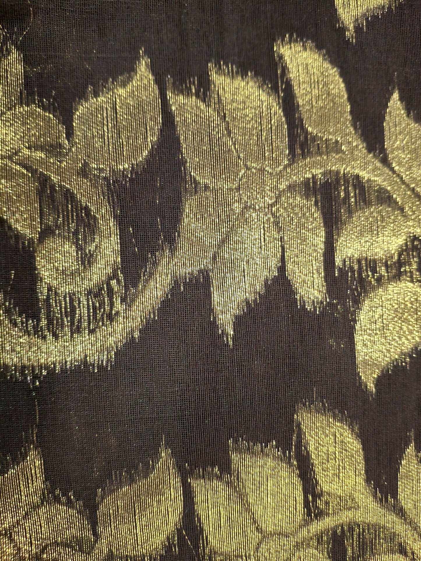 Dhakayi Jamdani saree