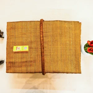 Pure Tussar Silk with Silk Mark Saree