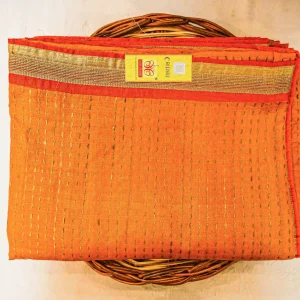 Pure Tussar Silk with Silk Mark Saree